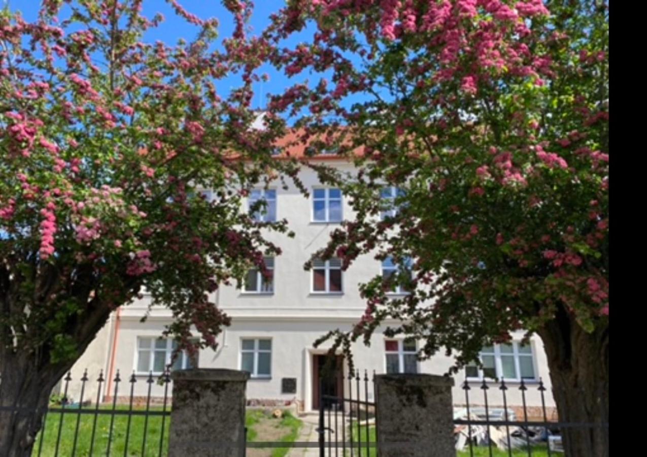 Apartament 3 Pokojowy Z Parkingiem Zabkowice Ślaskie Exterior foto